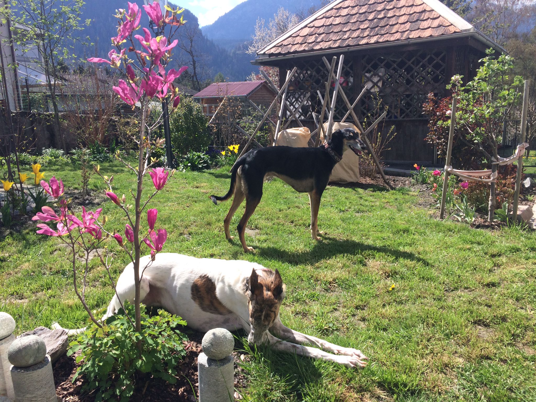 Heute haben wir wirklich super News